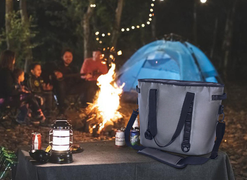 Cooler Bag